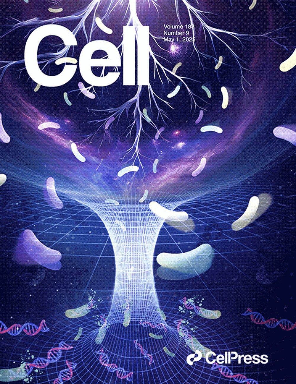 『Обложка, разработанная Сонди, была представлена ​​в журнале Cell』Раскрываем секреты микробов ризосферы сельскохозяйственных культур: знакомимся с двумя основными библиотеками генов, CRBC и CRVC!!