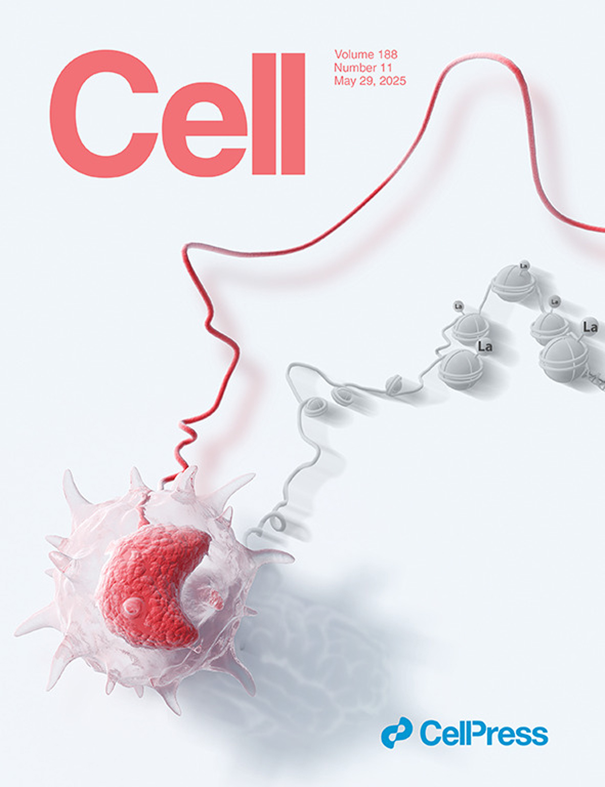 『Обложка, разработанная Сонди, была представлена ​​в журнале Cell』Расшифровка «молекулярного кода» вакцины БЦЖ тренирует иммунитет!
