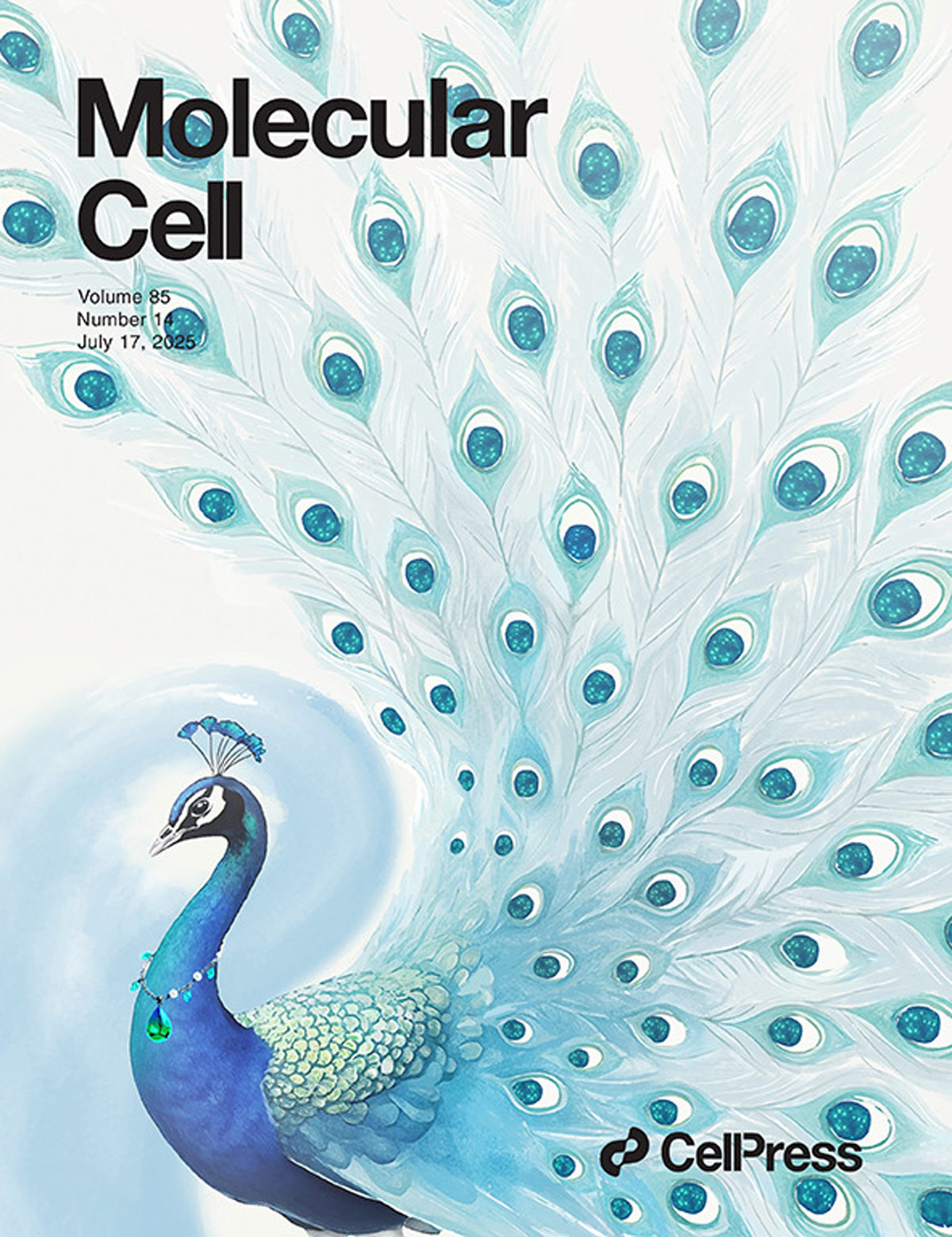 『Разработанная обложка была представлена в журнале Molecular Cell』Модификация YTHDC1 молочной кислотой открывает новую цель для лечения рака почки!