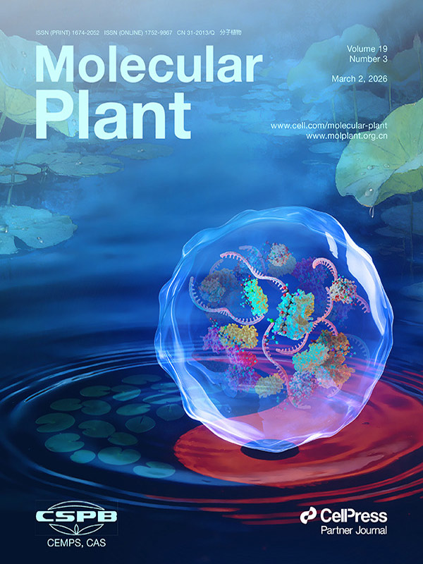 «История на обложке»: Работа Sondii Artwork представлена в журнале Molecular Plant: Стресс-гранулы и глутатионилирование создают клеточный защитный барьер от окислительного стресса у Arabidopsis